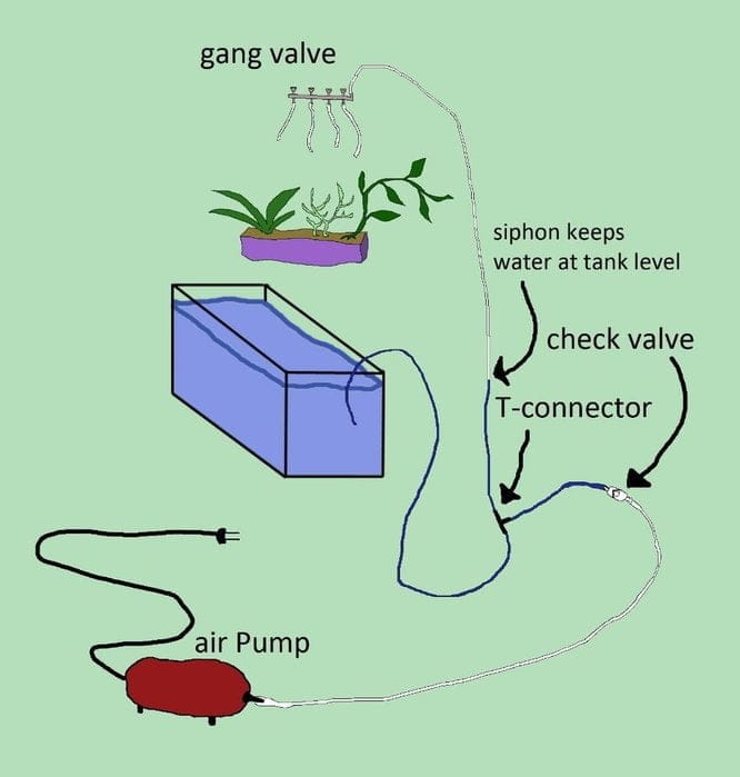 aquaponics Success: 7 Proven Steps for a Thriving Fish–Plant System 1 aquaponics