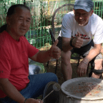 Traveling Korea Goyang Koi farm