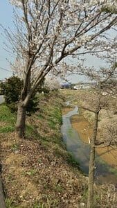 Korean nature is unique. 6 Seongsaheon River