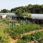 Changneung 3 Nieuwe Stad