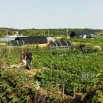 Changneung 3 Nieuwe Stad