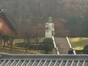 Goyang Neighbourhood